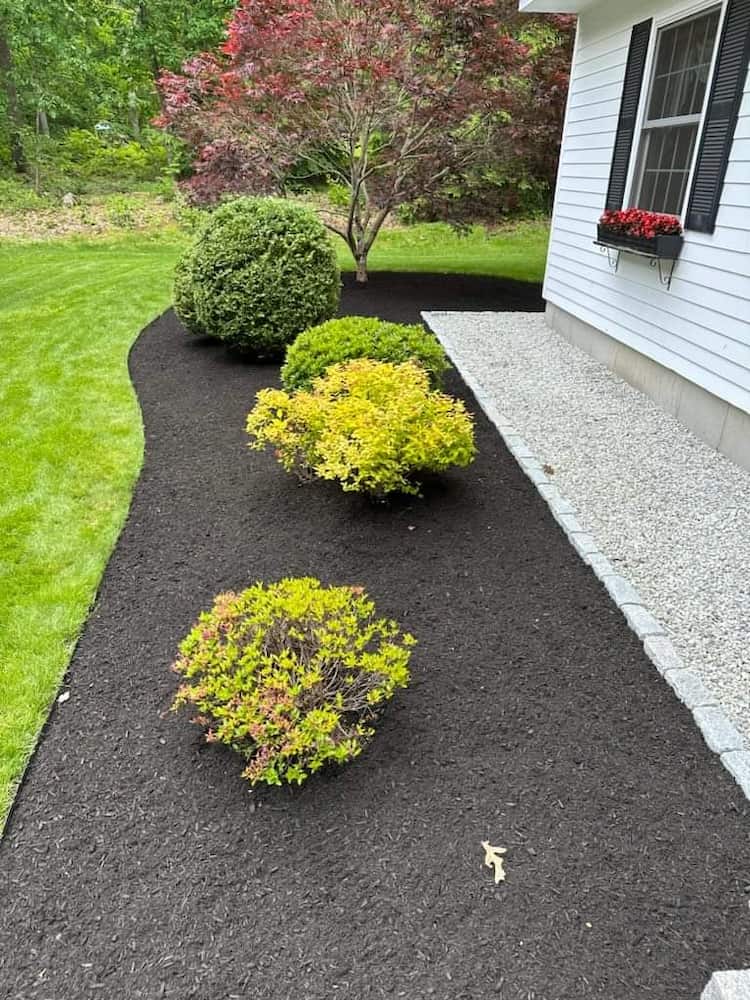 ED Landscaping Services NEAR ME
